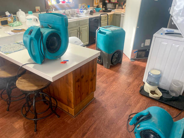 Best Carpet water damage restoration  in Fort Washington, MD