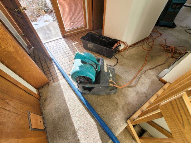 Best 24/7 water damage repair  in Fort Washington, MD