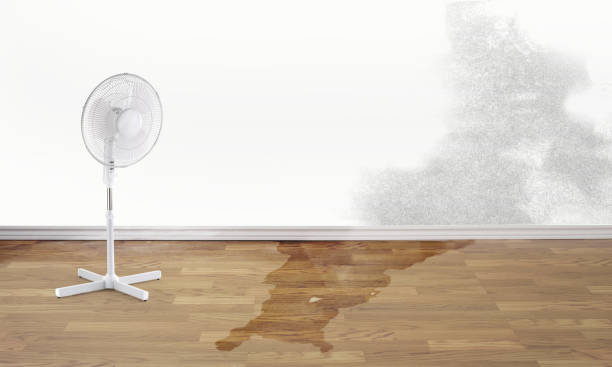 Best Ceiling water damage repair  in Fort Washington, MD