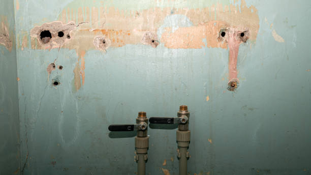 Best Fire Damage Restoration  in Fort Washington, MD