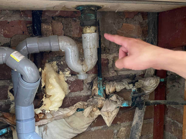 Best Flood damage cleanup  in Fort Washington, MD